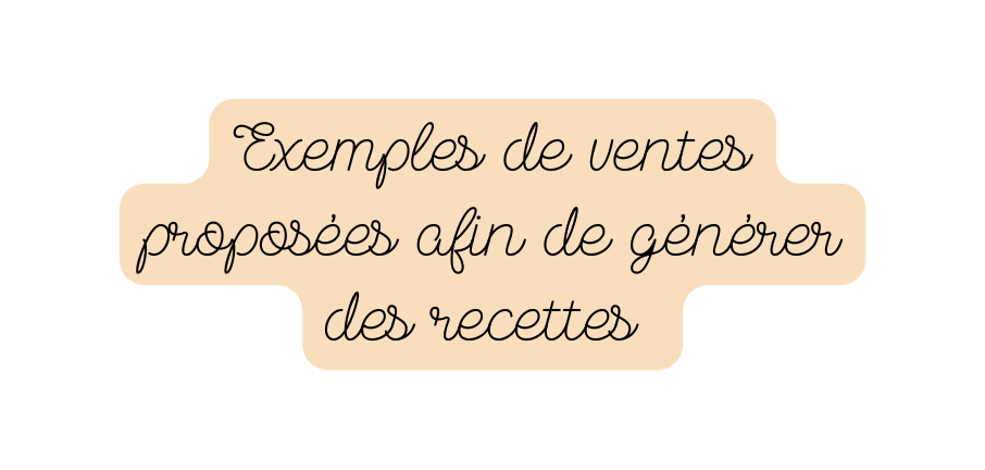 Exemples de ventes proposées afin de générer des recettes